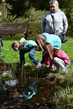 8 Družinsko žabanje
